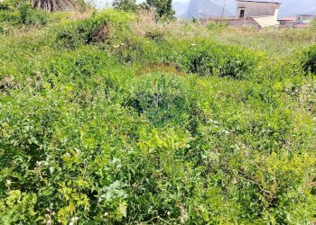 Giardino - Terreno agricolo via Bulotta
 
snc, Carini - foto 4