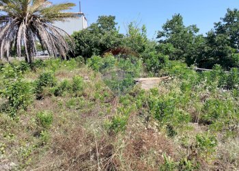 Giardino - Terreno agricolo via Bulotta
 
snc, Carini - foto 7