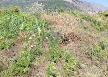 Vista delle montagne - Terreno agricolo via Bulotta
 
snc, Carini - foto 9