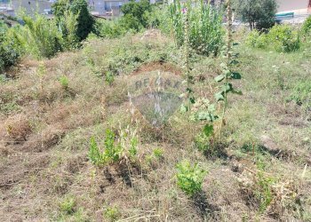 Vista delle montagne - Terreno agricolo via Bulotta
 
snc, Carini - foto 10