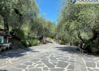 Vialetto d\'ingresso - Villa via della Fornace, Camaiore - foto 42