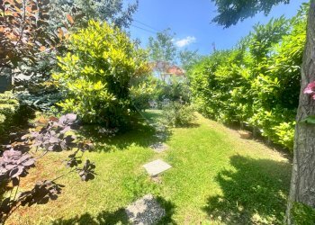 Giardino - Casa semi indipendente via Olmo D'Ettore
 
snc, Campodipietra - foto 4