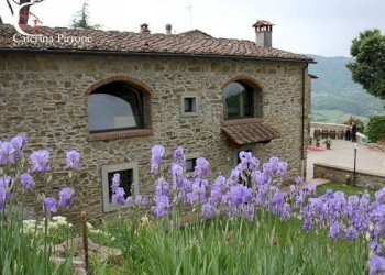 Foto 24 - Villa via Ampinana
 
10, Vicchio - foto 24