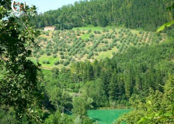 Foto 40 - Villa via Ampinana
 
10, Vicchio - foto 40