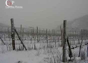 Foto 48 - Villa via Ampinana
 
10, Vicchio - foto 48