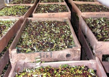 Foto 49 - Villa via Ampinana
 
10, Vicchio - foto 49