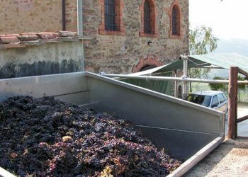 Foto 57 - Villa via Ampinana
 
10, Vicchio - foto 57