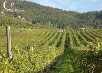 Foto 62 - Villa via Ampinana
 
10, Vicchio - foto 62