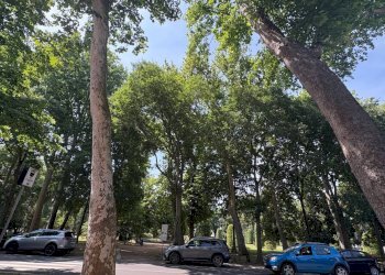 Foto 9 - Trilocale Mantova - foto 9