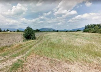 Terreno - Terreno agricolo via delle Molina, Signa - foto 6