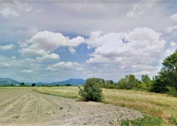 Terreno - Terreno agricolo via delle Molina, Signa - foto 8