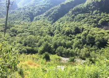 Terreno - Casa indipendente Locana - foto 14