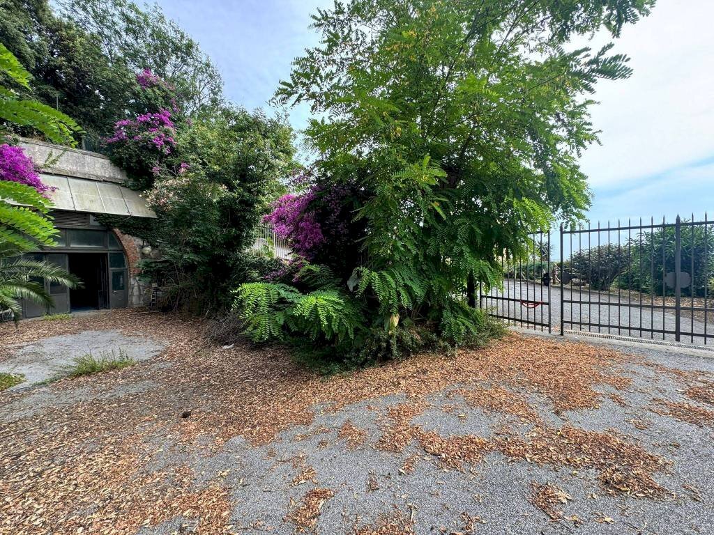 Giardino - Warehouse via 5 Maggio, 77, Genova (neighborhood Quarto) - photo 3