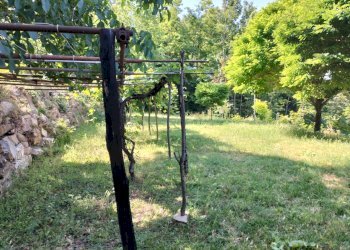 Independent house Travo - photo 15