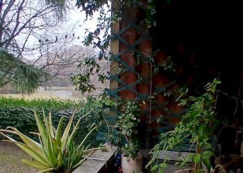 Loft Reggio nell'Emilia - foto 3