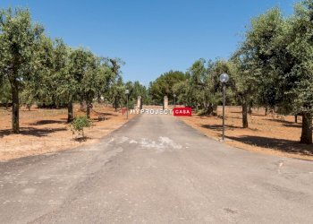 Locale Commerciale Indirizzo Non Disponibile, Carovigno - foto 33