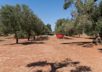 Locale Commerciale Indirizzo Non Disponibile, Carovigno - foto 41