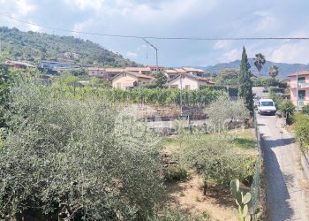 Three-room apartment via San Michele, Dolceacqua - photo 4