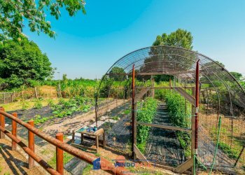 Rustic Vottignasco - photo 23