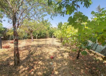 Foto 7 - Casa indipendente Via Giacomo Puccini
 
1, Pontecorvo - foto 7