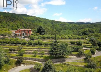 Foto 6 - Villa Orco Feglino - foto 6