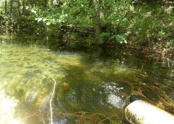 Foto 15 - Villa Orco Feglino - foto 15