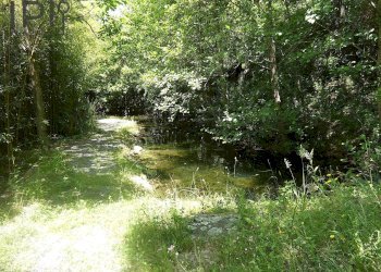 Foto 16 - Villa Orco Feglino - foto 16