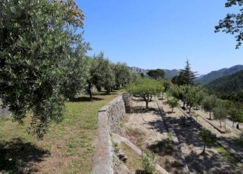 Foto 44 - Villa Orco Feglino - foto 44