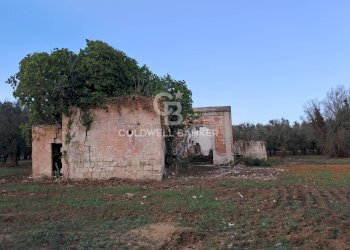 Foto 2 - Rustico Contrada Cazzanoce
 
snc, Mesagne - foto 2