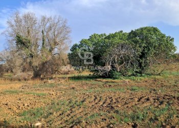 Foto 5 - Rustico Contrada Cazzanoce
 
snc, Mesagne - foto 5