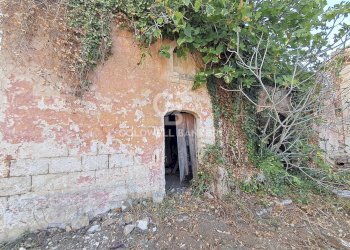 Foto 7 - Rustico Contrada Cazzanoce
 
snc, Mesagne - foto 7