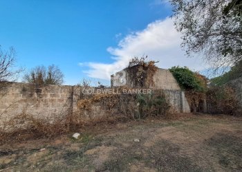 Foto 28 - Rustico Contrada Cazzanoce
 
snc, Mesagne - foto 28