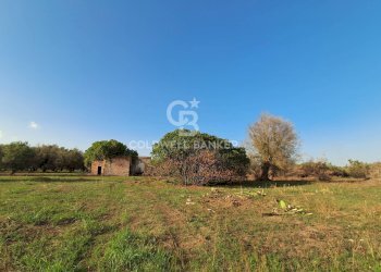 Foto 10 - Rustico Contrada Cazzanoce
 
snc, Mesagne - foto 10