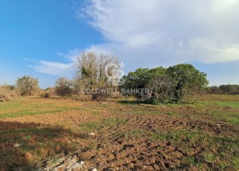 Foto 12 - Rustico Contrada Cazzanoce
 
snc, Mesagne - foto 12