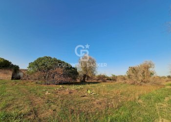 Foto 13 - Rustico Contrada Cazzanoce
 
snc, Mesagne - foto 13