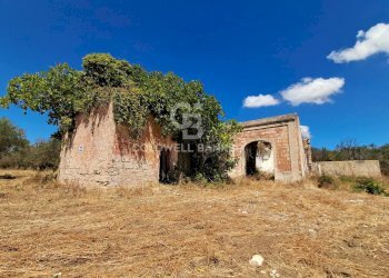 Foto 1 - Rustico Contrada Cazzanoce
 
snc, Mesagne - foto 1