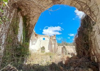 Foto 17 - Rustico Contrada Cazzanoce
 
snc, Mesagne - foto 17