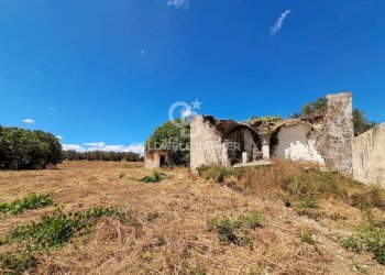 Foto 22 - Rustico Contrada Cazzanoce
 
snc, Mesagne - foto 22