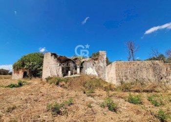 Foto 23 - Rustico Contrada Cazzanoce
 
snc, Mesagne - foto 23