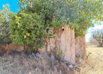 Foto 24 - Rustico Contrada Cazzanoce
 
snc, Mesagne - foto 24