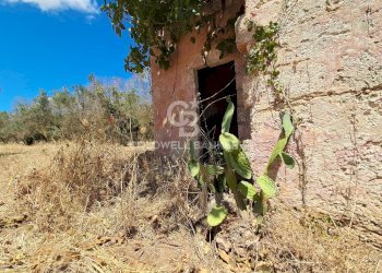 Foto 25 - Rustico Contrada Cazzanoce
 
snc, Mesagne - foto 25