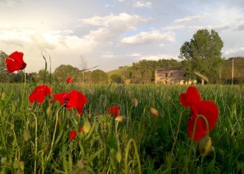 Foto 1 - Villa STRADA PROVINCIALE 87, Fermo - foto 1