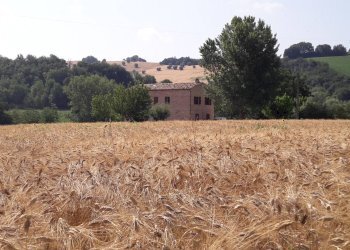 Foto 2 - Villa STRADA PROVINCIALE 87, Fermo - foto 2