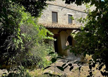 Foto 7 - Rustico Lapedona - foto 7