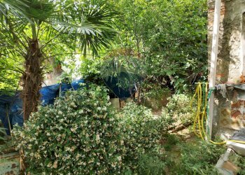 Giardino - Casa semi indipendente Località Piano Fonti
 
135, Guardiagrele - foto 9