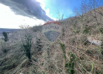 Foto 28 - Rustico Roccamontepiano - foto 28