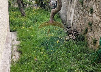 Giardino - Quadrilocale Via Fontana Terranova
 
43, Palena - foto 13