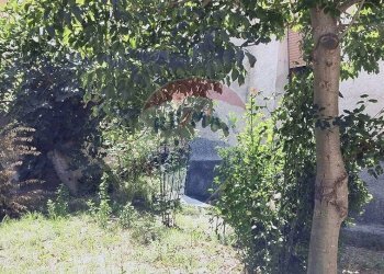 Foto 18 - Casa semi indipendente Via Fontana Terranova
 
41, Palena - foto 18