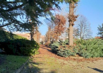 Giardino - Villa VIA GIUSEPPE SERRA
 
4, Feletto - foto 8