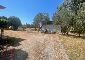 Foto 8 - Villa Strada Cavatella, Latina - foto 8